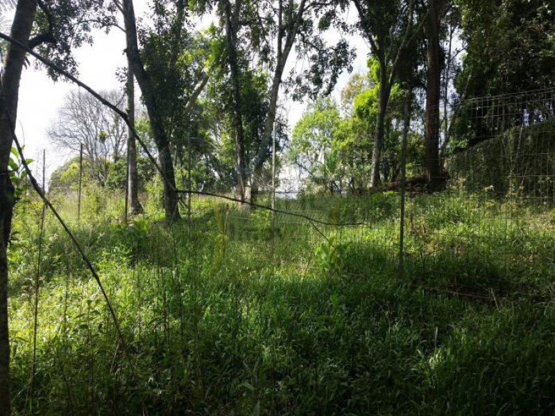  OTIMA CHÁCARA PARA VENDA / POUSO ALEGRE/ RIBEIRÃO PIRES